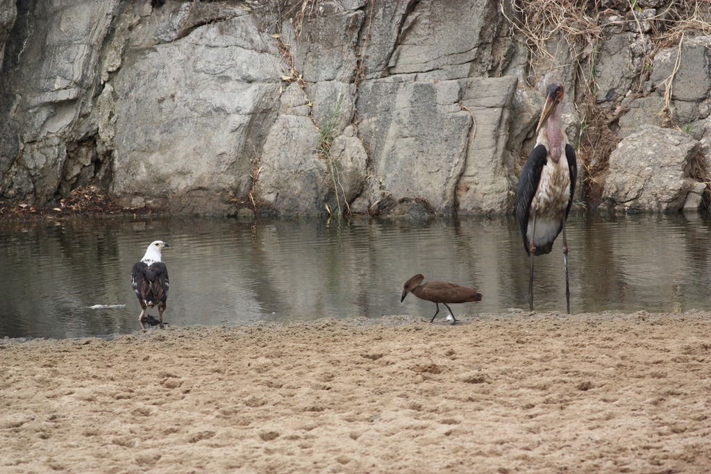 [IMG_8144%255B3%255D.jpg]