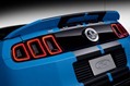 2013-Ford-Mustang-Shelby-GT500_21