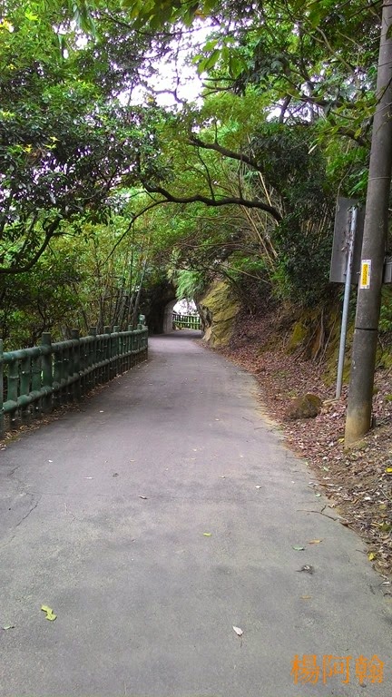 [1106-119---5.jpg]