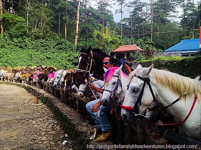 http://jadspiritsfamilylifeadventures.blogspot.com/2014/10/horseback-riding-at-wright-park-baguio.html IMG_9395_bueno