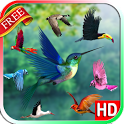 Flying Birds Live Wallpaper icon