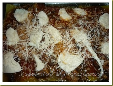 Lasagne vegetariane senza glutine con funghi e mozzarella (10)