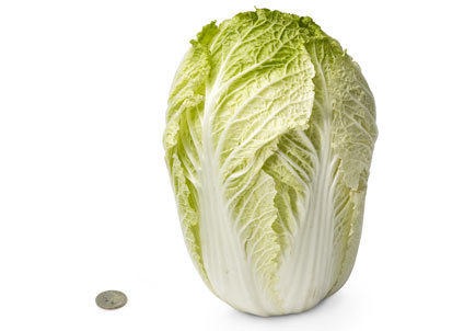 [28-chinese-cabbage%255B1%255D%255B3%255D.jpg]