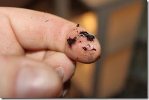 IMG_0473 IMG_0473