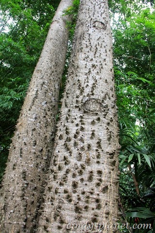 [chok%2520chai%2520farm%2520camp%2520%252814%2529%255B3%255D.jpg.webp]