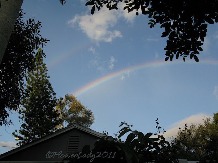 [09-28-rainbow10%255B4%255D.jpg]