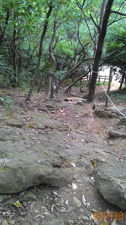 [1106-081---5.jpg]