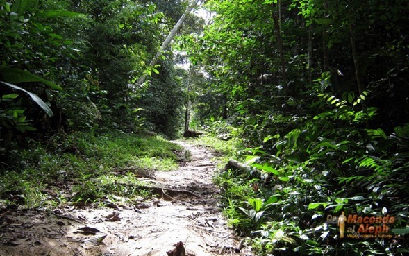 Viaje Amazonas Maloka Makuna  8