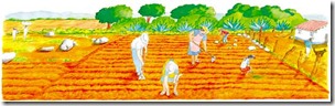 proyecto tierra (10) proyecto tierra (10)