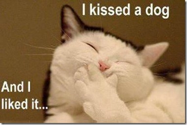 i kissed a dog