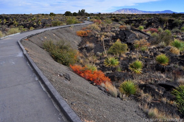 [DSC_0040%255B4%255D.jpg]