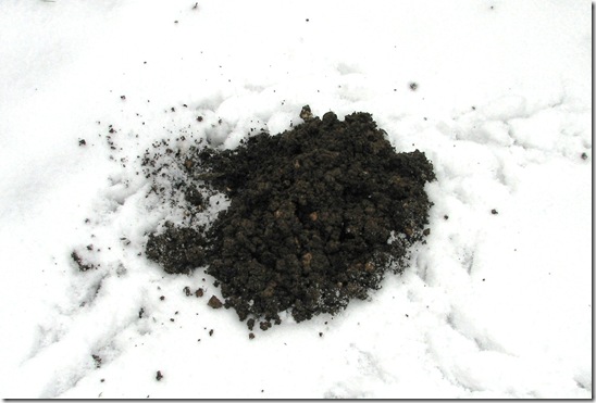 20130119 Molehill in snow (2)