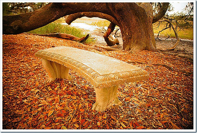 free-pictures-benches-1 (481)
