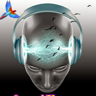 Download musik terapi untuk burung dan manusia download sound therapy