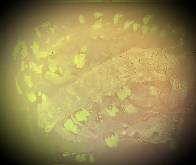 2014 06 21%25252009.57.50