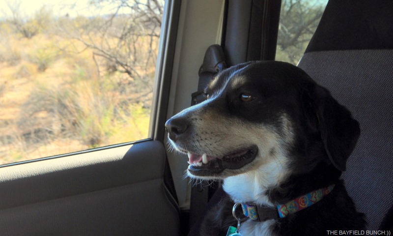 [DSC_0041%255B4%255D.jpg]