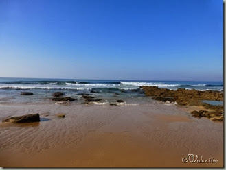 P1060289 P1060289