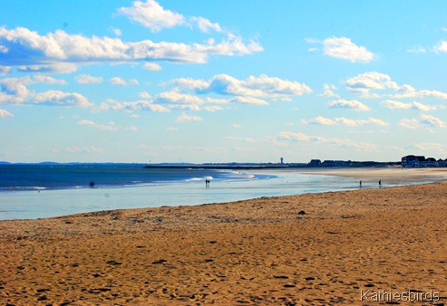 8. Hampton Beach SP-kab