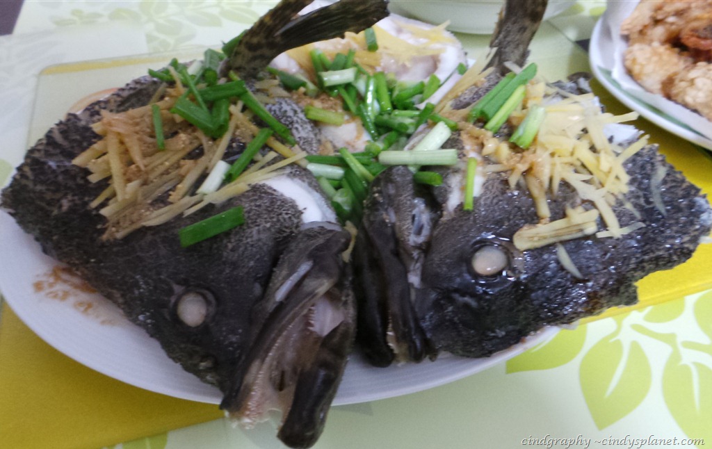 [20130210_2027595.jpg.webp]