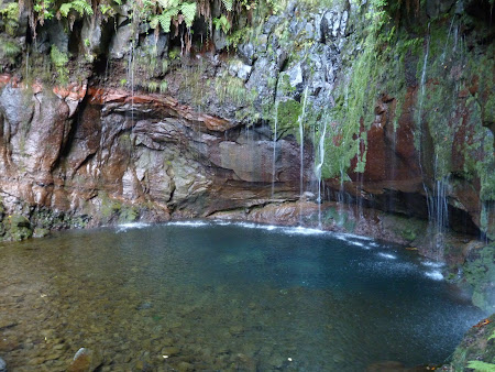 Obiective turistice Madeira: Cascada celor 25 izvoare
