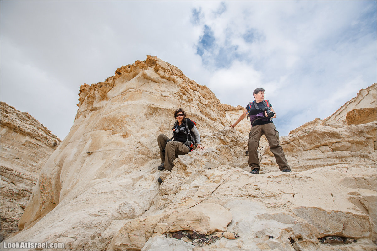 Ручей Акев и источник Эйн Акев в пустыне Негев. LookAtIsrael.com - Фото путешествия по Израилю