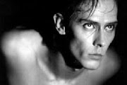 Peter Murphy