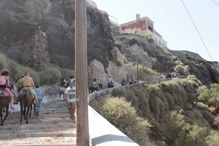 04. Magari in Santorini.JPG