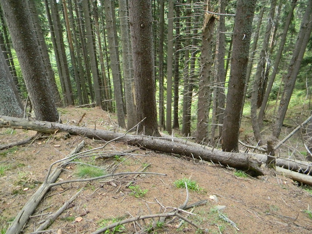[DSCN04943.jpg]