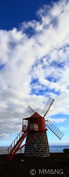 IMG_3574-001 IMG_3574-001