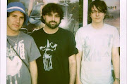 Animal Collective