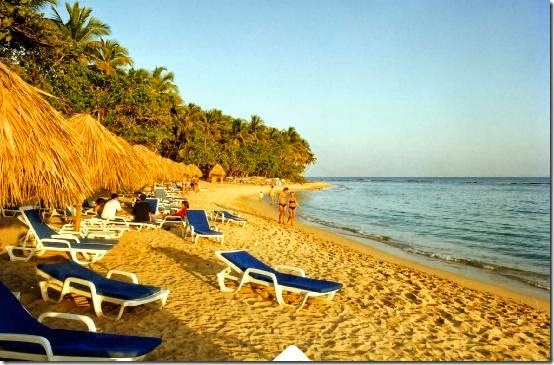 playa_gold playa_gold