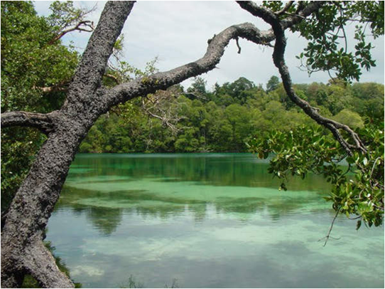 Pulau Kakaban Tempat Wisata Pulau Kalimantan