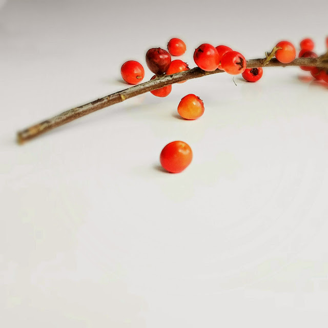 Wer jetzt kein Haus hat, baut sich keines mehr ... Inspirationen für die poetische Herbstdeko mit Rainer Maria Wer jetzt kein Haus hat, baut sich keines mehr ... Inspirationen für die poetische Herbstdeko mit Rainer Maria