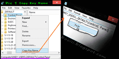 Registry Editor:Copy Key Name.