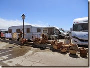 IMG_1194 IMG_1194