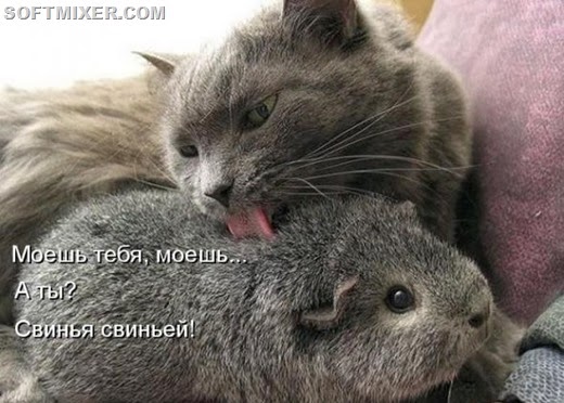 [6fd67558f4f90d1526e2fc5571f_prev%255B5%255D.jpg]