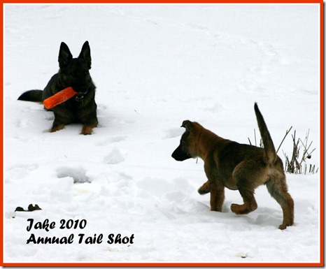 Jake 2010 Annual Tail Shot
