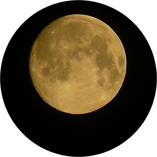 Алексей Брюхов
