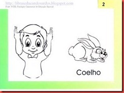 coelho