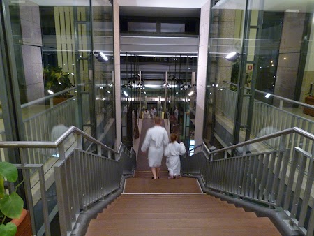 14. Spre spa.JPG