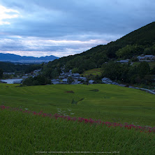 IMGP0160(18mm,F8,0,iso100,KS1)2014yaotomi_s.jpg