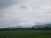 Austr_405_11.11.2007.JPG