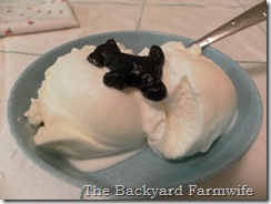 white licorice ice cream- The Backyard Farmwife