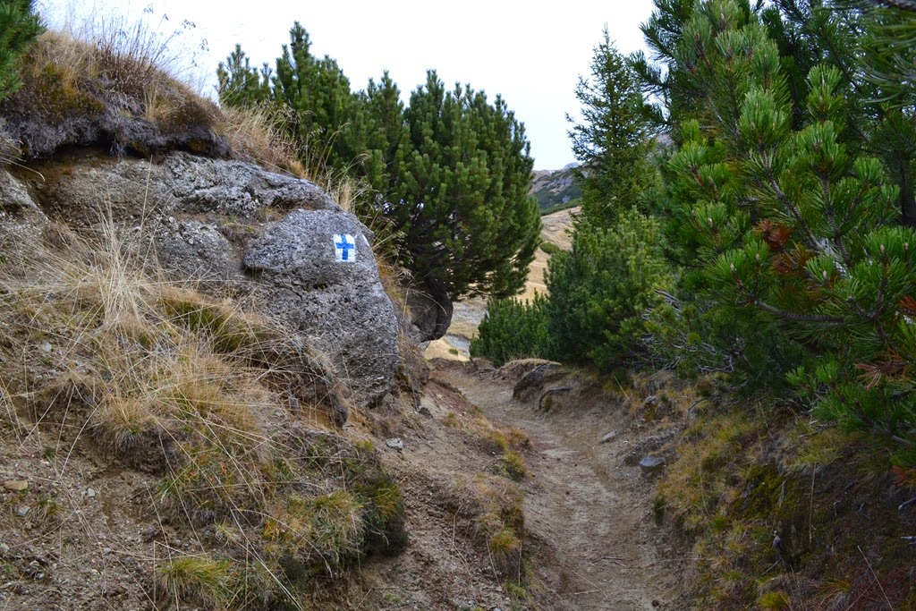 [DSC_70533.jpg]