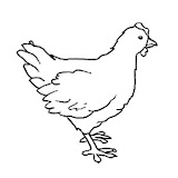 gallina2.jpg