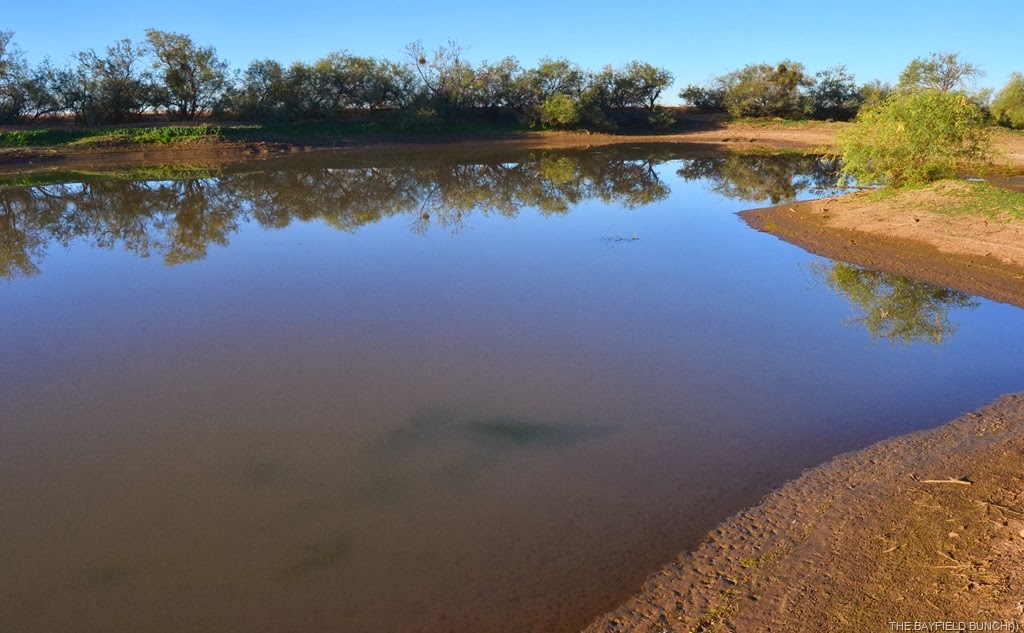 [DSC_0005%255B5%255D.jpg]