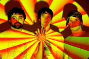 Animal Collective