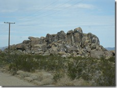 IMG_7933 IMG_7933