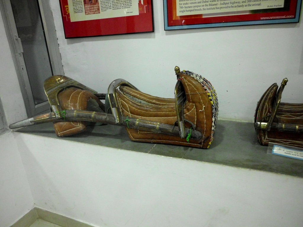 [DSCI30564.jpg]
