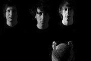 Wombats